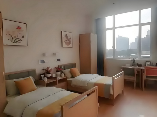 继承者的秘恋