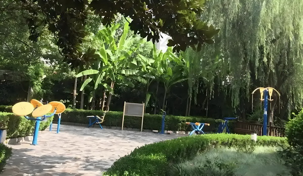 小鬼策：妈咪，谁是我爸爸